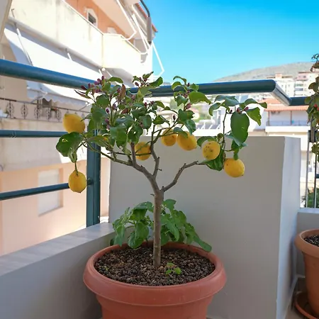 Emiljano Apartment
