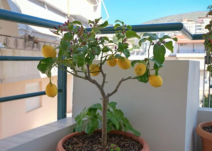 Emiljano Appartement